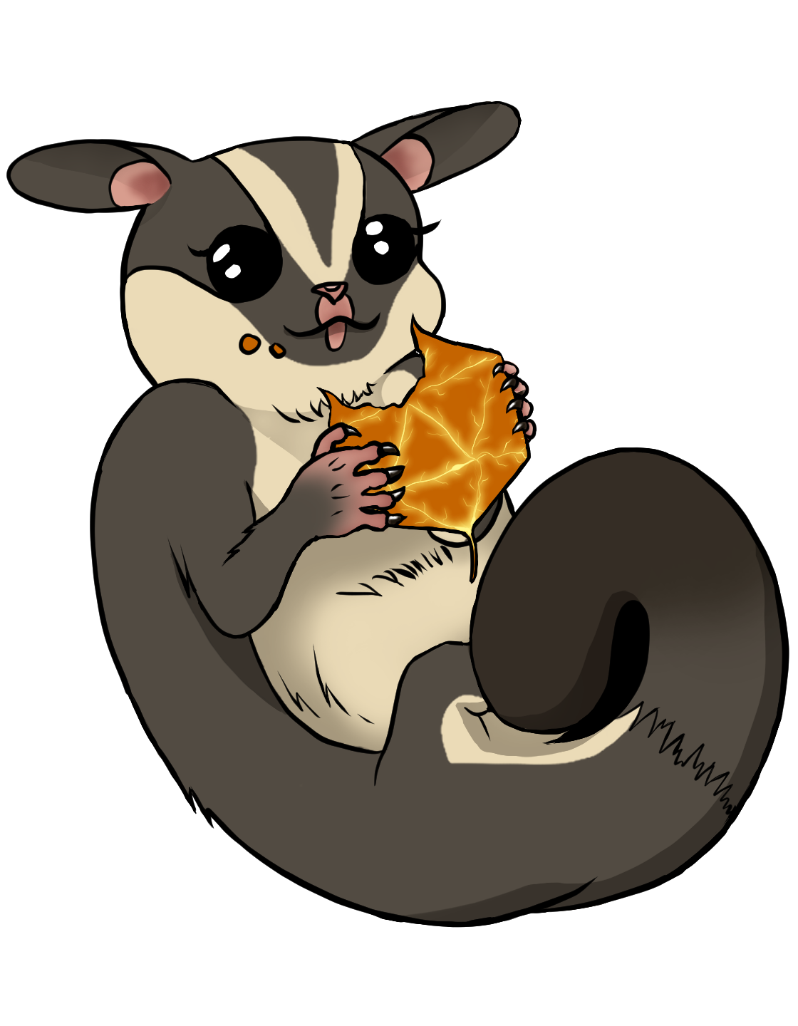 Sugar Glider Orange